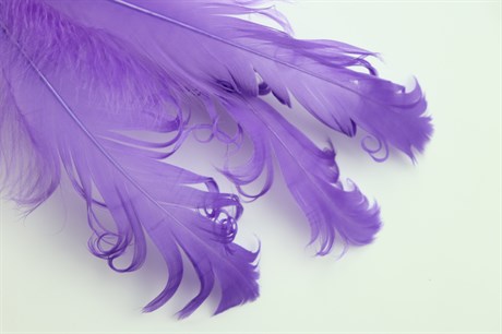 Гусиное перо, Purple - фото 22334