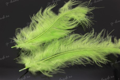 Перья марабу, цвет светло-зеленый, 80 - 100 мм,  22шт, 2 гр. (Efco) - фото 24991