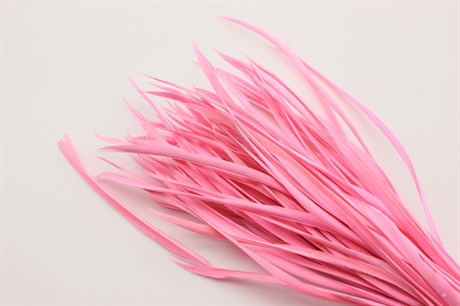 Гусиное перо-биот окрашенное, цвет розовый, 150~265x3~4 мм, 1 шт - фото 40355
