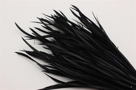 Гусиное перо-биот окрашенное, цвет черный, 80~250x3~5 мм, 1 шт - фото 40357