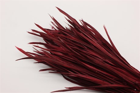 Гусиное перо-биот окрашенное, цвет темно-красный, 80~250x3~5 мм, 1 шт - фото 40359