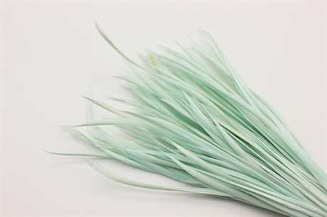 Гусиное перо-биот окрашенное, цвет бледно-зеленый, 150~265x3~4 мм, 1 шт - фото 40362