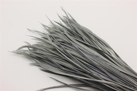Гусиное перо-биот окрашенное, цвет серый, 80~250x3~5 мм, 1 шт - фото 40363
