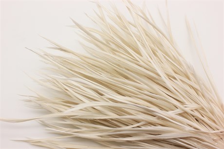 Гусиное перо-биот окрашенное, цвет белый, 80~250x3~5 мм, 1 шт - фото 40365