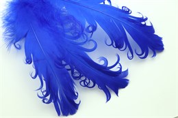 Гусиное перо, Royal Blue
