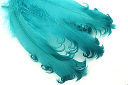 Гусиное перо, Peacock