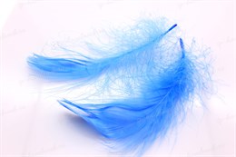 Перо натуральное декоративное, цвет светло-голубой, 5 шт (размер от 40 до 100 мм), Германия