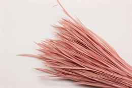 Гусиное перо-биот окрашенное, цвет розово-коричневый, 80~250x3~5 мм,1 шт
