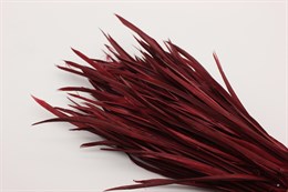 Гусиное перо-биот окрашенное, цвет темно-красный, 80~250x3~5 мм, 1 шт