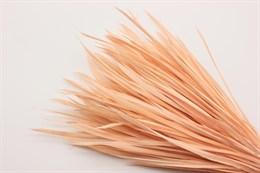 Гусиное перо-биот окрашенное, цвет бледно-розовый, 80~250x3~5 мм, 1 шт