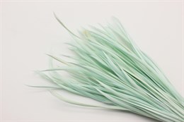 Гусиное перо-биот окрашенное, цвет бледно-зеленый, 150~265x3~4 мм, 1 шт