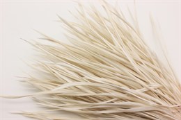 Гусиное перо-биот окрашенное, цвет белый, 80~250x3~5 мм, 1 шт