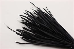 Гусиное перо-биот окрашенное, цвет черный, 150~265x3~4 мм, 1 шт