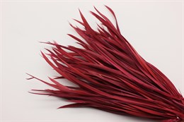 Гусиное перо-биот окрашенное, цвет бордовый, 150~265x3~4 мм, 1 шт