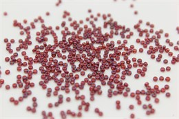 Бисер Miyuki Round (круглый) 15/0 313 - Cranberry Gold Luster, 10 гр (Япония) 38005