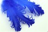 Гусиное перо, Royal Blue - фото 22330