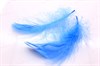 Перо натуральное декоративное, цвет светло-голубой, 5 шт (размер от 40 до 100 мм), Германия - фото 23420