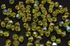 Биконусы хрусталь 5 мм Citrine Glitter 10 шт (Preciosa) - фото 36759