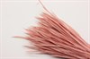 Гусиное перо-биот окрашенное, цвет розово-коричневый, 80~250x3~5 мм,1 шт - фото 40354