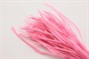 Гусиное перо-биот окрашенное, цвет розовый, 150~265x3~4 мм, 1 шт - фото 40355