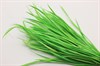 Гусиное перо-биот окрашенное, цвет светло-зеленый, 150~265x3~4 мм, 1 шт - фото 40356