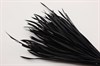 Гусиное перо-биот окрашенное, цвет черный, 150~265x3~4 мм, 1 шт - фото 40370