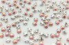 Шатоны пришивные Preciosa Rose Maxima ss16 (3,8-4,0 мм) Rose Peach AB, оправа крестовая плоская - цвет серебристый, 10 шт (Чехия) PR-1259 - фото 43999