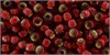 TR-11-25CF TOHO - Round 11/0 : Silver Lined Frosted Ruby 37015 - фото 52134