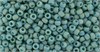 TR-11-2634F TOHO - Round 11/0 : Semi Glazed Rainbow Turquoise 37028 - фото 52147